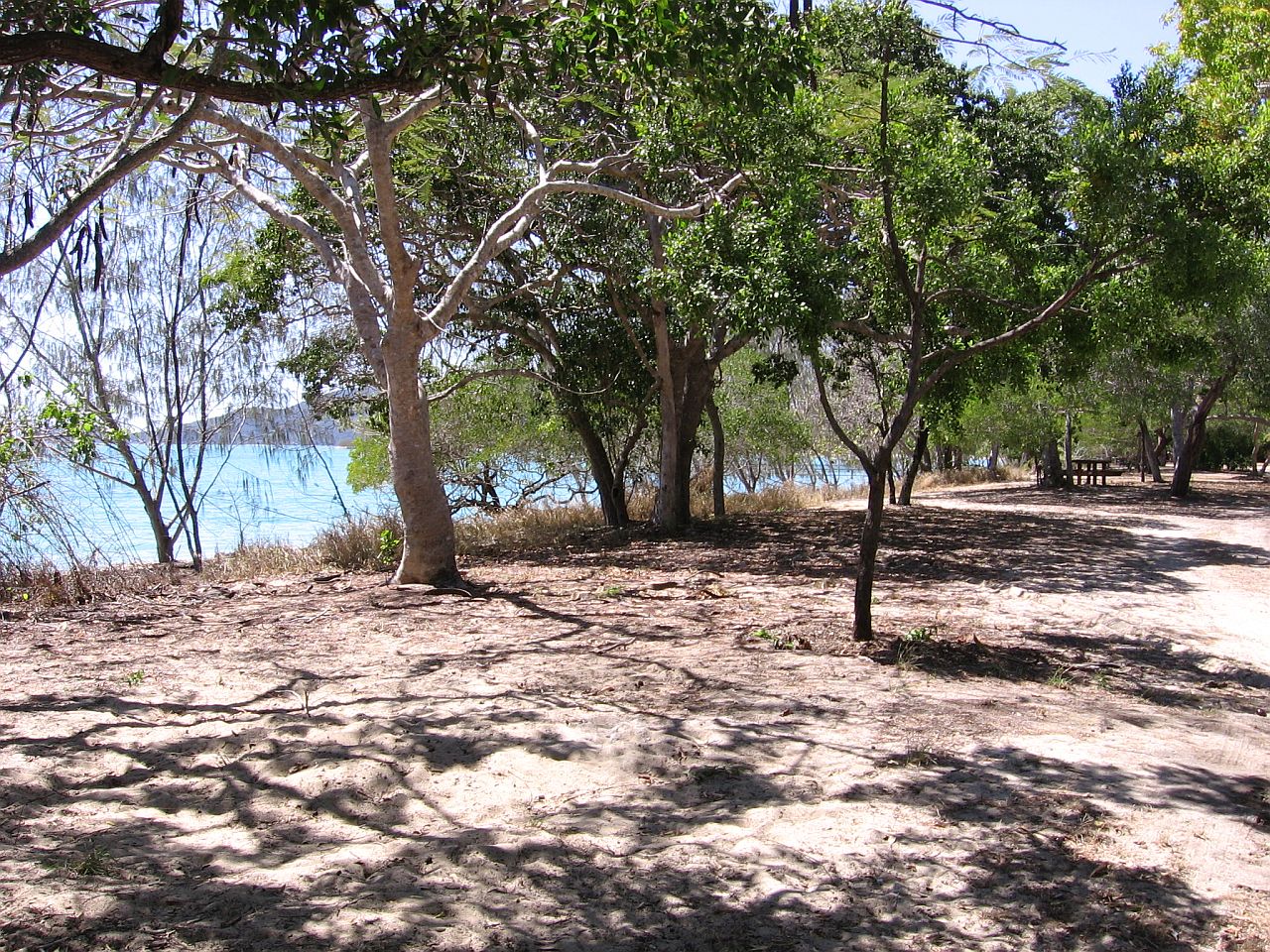 BOWEN > DINGO BEACH > AIRLIE BEACH > SHUTE HARBOUR > PROSERPINE