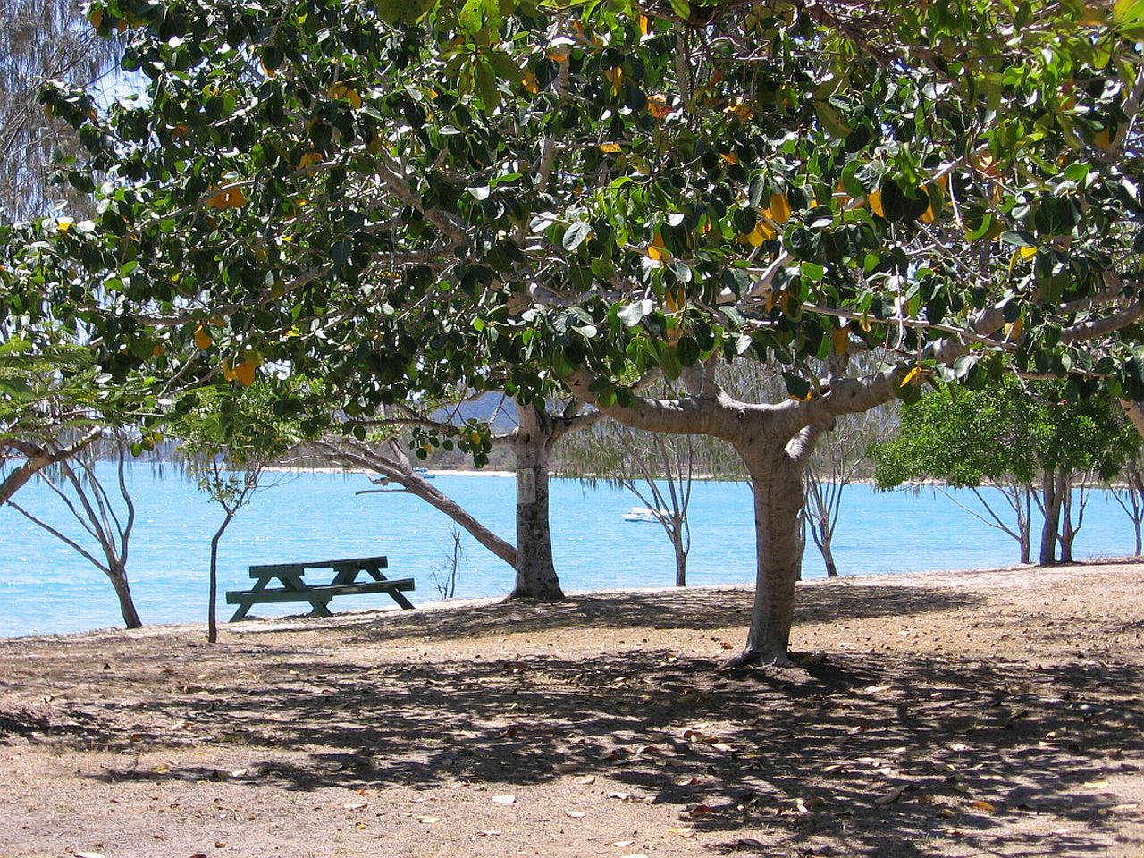 BOWEN > DINGO BEACH > AIRLIE BEACH > SHUTE HARBOUR > PROSERPINE