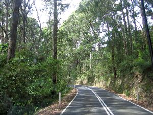 Deans Marsh Lorne Road - Angahook Lorne State Park, Victoria