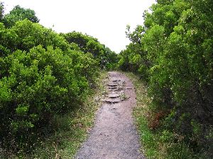 Viewing Track - Cape Otway Lightstation - Victoria