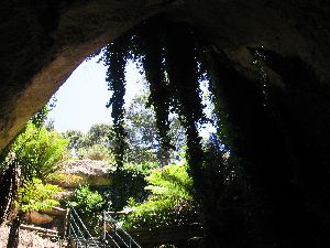 Engelbrecht Cave - Mount Gambier - Entrance