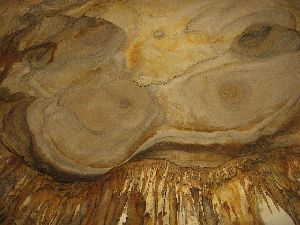 Princess Margaret Rose Cave - Ceiling