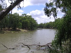 Murrumbidgee River at Narrandera