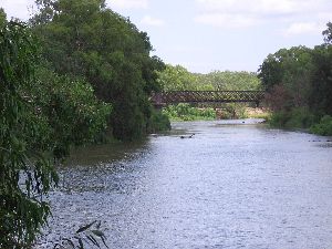 Murrumbidgee River at Narrandera