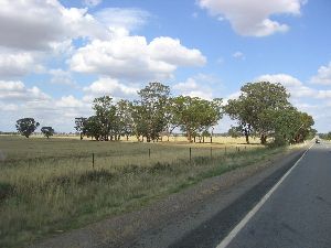 Burley Griffin Way - Around 30km West of Temora