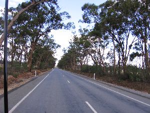 Burley Griffin Way - Just West of Temora