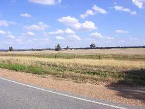 Burley Griffin Way - Just West of Temora