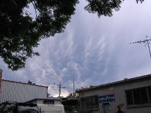 Mammatus Cloud aproaching Berowra NSW - Will passing by