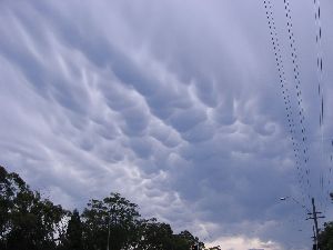 Mammatus Cloud aproaching Berowra NSW